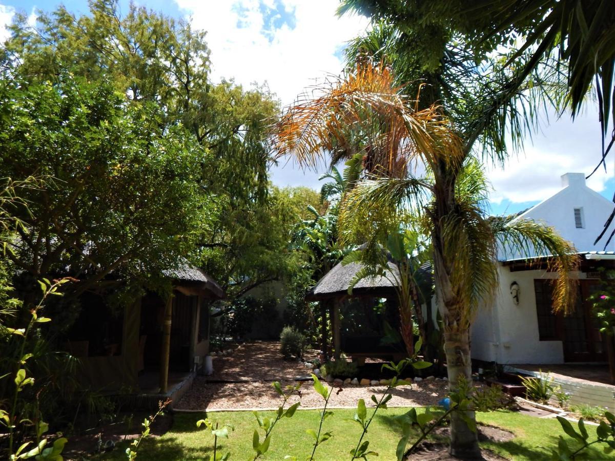 Khashamongo B & B Somerset West Kültér fotó